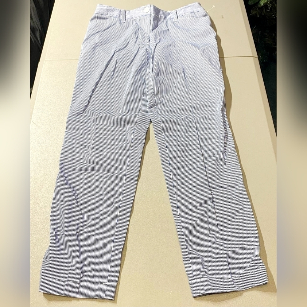 Talbots Blue White Striped Flat Front Pants Women's Size 6P Slit Pockets Spring